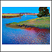 Ton Dubbeldam