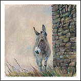 Donkey, Dormillouse (French Alpes…