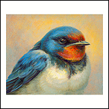 Portrait of a Swallow