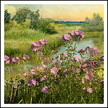 Landscape Flowers #02