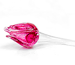 Glass tulip Pink