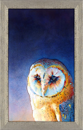 Barn owl III