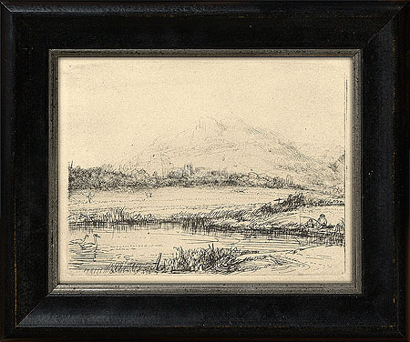 Visser in berglandschap