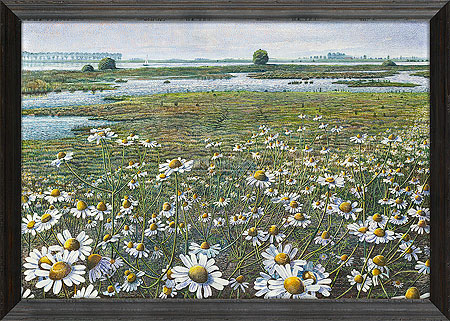 Kamille langs de IJssel