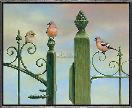 Finches perched on a fence