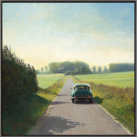 Citroën DS in de Wieringermeerpo…