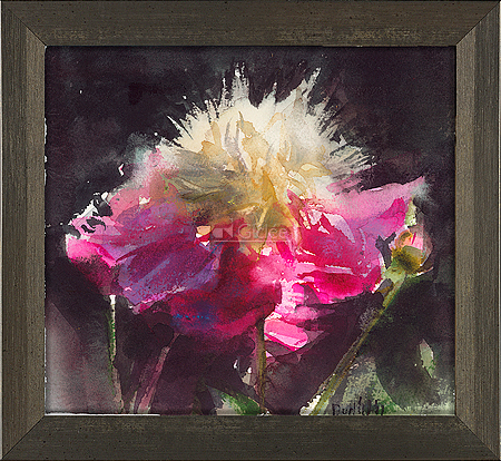 Paeonia 'Bowl of beauty'