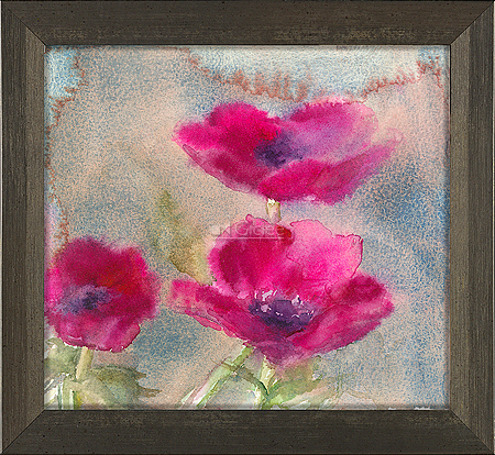 Anemone
