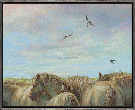 Paarden en boerenzwaluwen