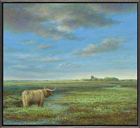 Hooglander in Groningen