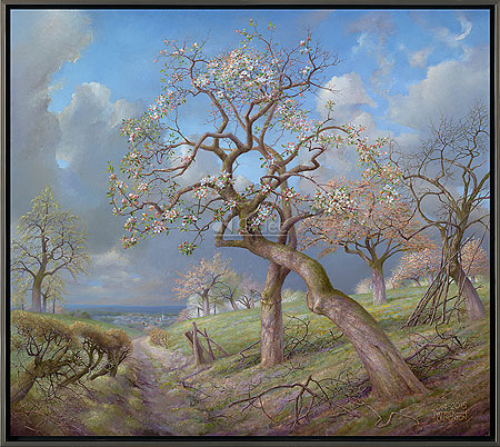 Bloeiende appelbomen met Maasvall…