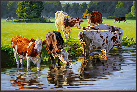 Roodbont vee langs de rivier