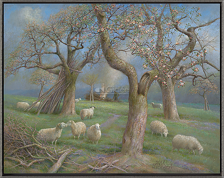 Schapen in de boomgaard