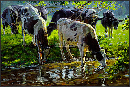 Zwartbont vee drinkend uit een be…