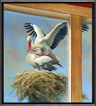 Ooievaars op nest