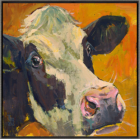 Cow against Gold
