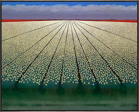White tulipfields