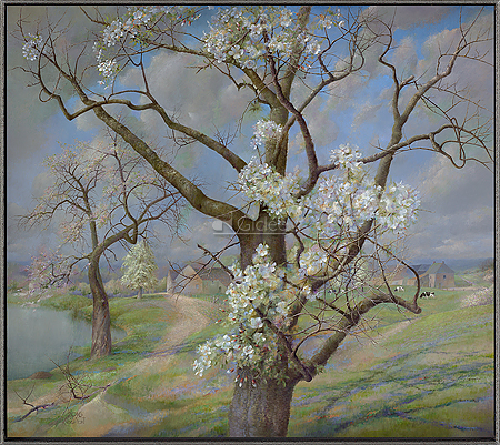 Bloeiende kersenboom