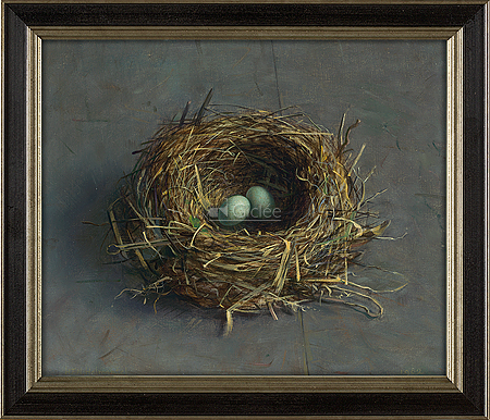 Abandoned blackbird nest