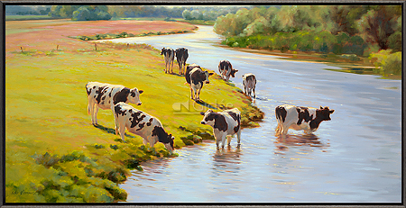 Jongvee bij de rivier