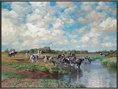 Koeien zoeken verkoeling in de ri…