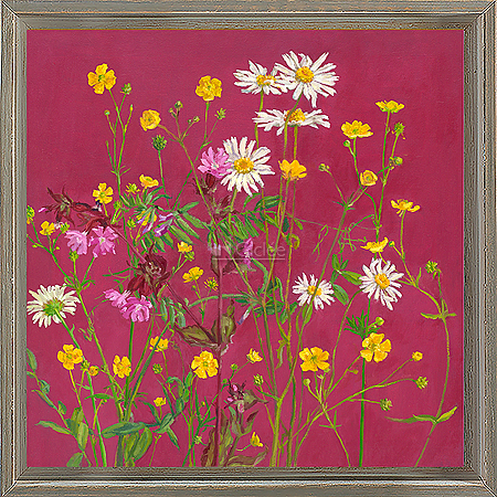 Wilde bloemen III