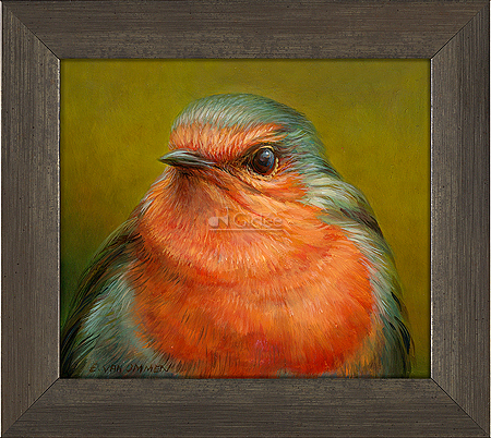 Portret van een Roodborst