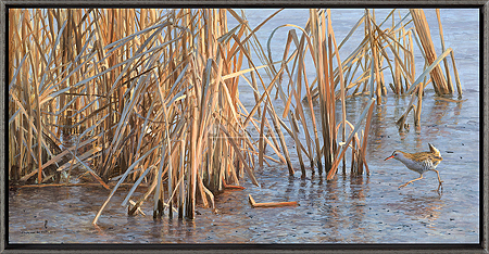 Zoek dekking - waterral