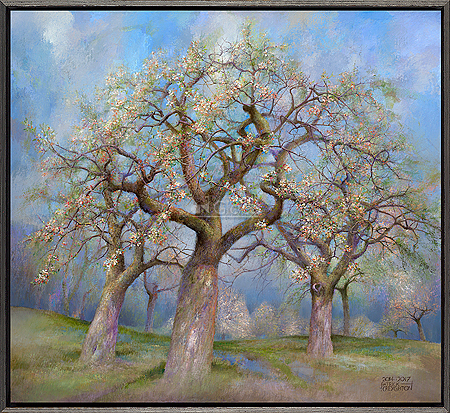 Appelboomgaard in bloei