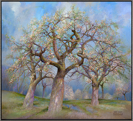 Appelboomgaard in bloei