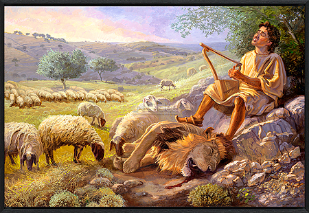 David als herder