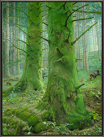 Het Mossenbos