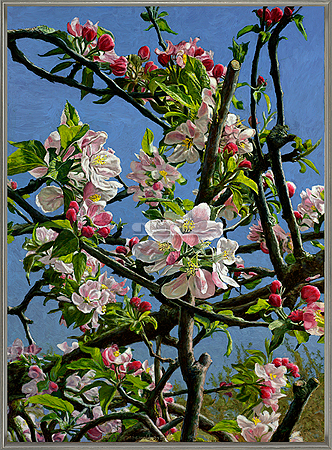 Appelbloesem op Ewsum