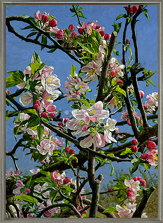 Appelbloesem op Ewsum