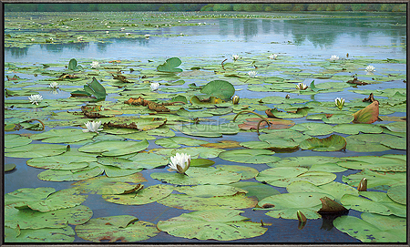 Het Stille Water
