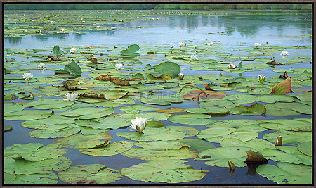Het Stille Water