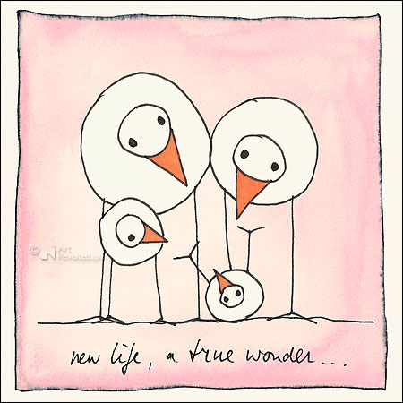 New life, a true wonder...