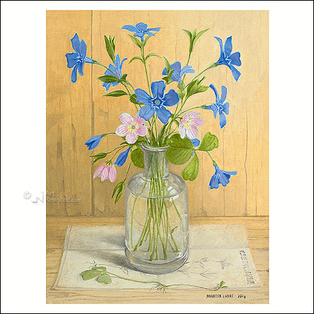 Still life with Periwinkle and Wood sorrel