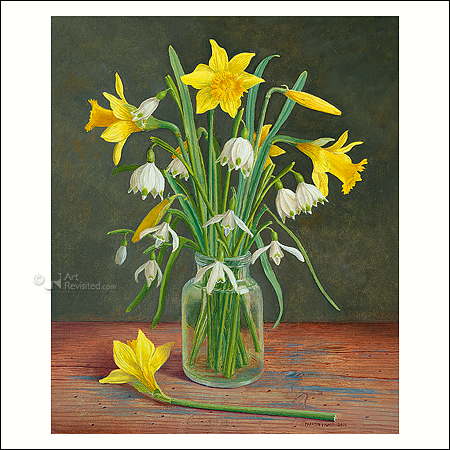 Spring Flowers. Wild daffodils, spring bells and snowdrops