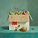 Marius van Dokkum