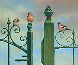Finches perched on a fence