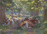 Cattle in the shade of the trees
