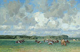 Clouds over cattle