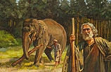 Noach met olifant