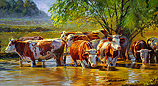 Red-and-white cattle under the willow
