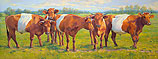 Lakenvelder cattle