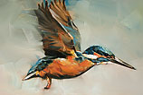 IJsvogel II