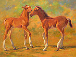 Two playful young foals