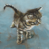 Kitten