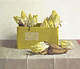 Chicory in a yellow box